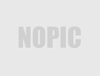 關于共同維護、建立和諧網絡環境的學習通知